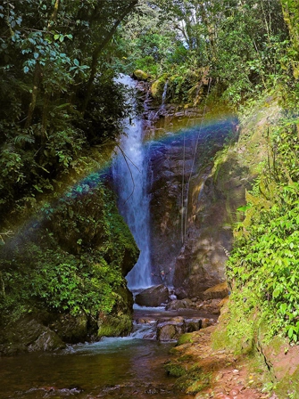 La serenidad del río Tigre en Oxapampa te invita a explorar la belleza natural de la región. Un paraíso de tranquilidad y aventura.